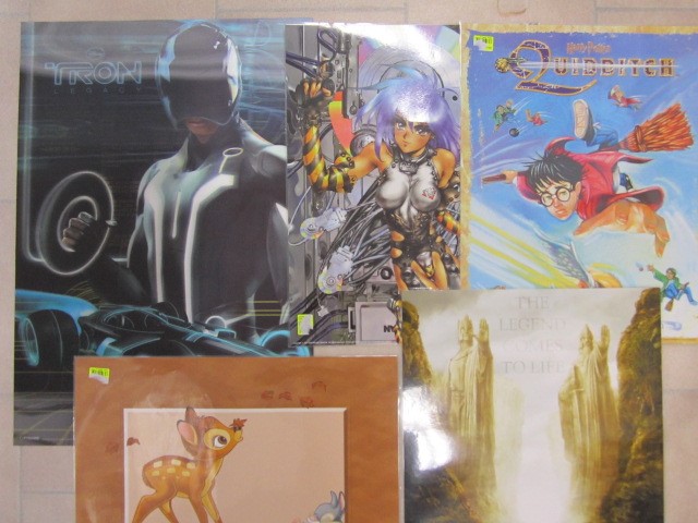 Lot de grands posters, affiches plastifiées, posters 3D