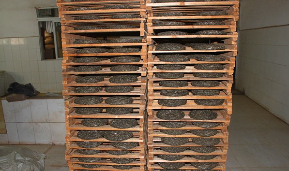 Grossiste exportateur de thés pu’er et thés noirs du Yunnan