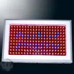 vente en gros et demi-gros particulier de tout produit LED.