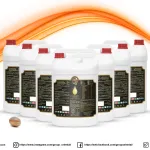 Huile d'argan