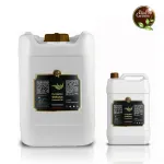 Huile essentielle d’eucalyptus