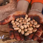 Huile d'Argan Bio Vierge & Désodorisée
