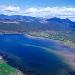 Grossiste exportateur de spiruline en poudre et en comprimés 