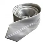 Lot de 25 cravates pour homme