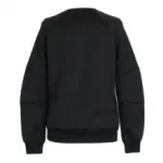 Pull col rond femme imprimé tigres devant