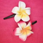 ACCESSOIRES DE MODE : barrettes, pinces a cheveux, chouchous, pics a cheveux