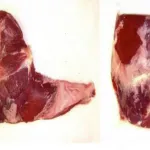 Rump